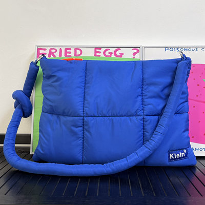 电脑包iPad包莱茵蓝色