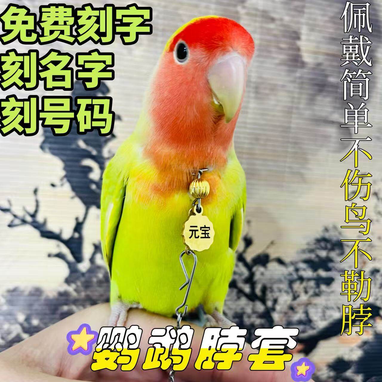 鹦鹉脖圈脖套刻字小太阳玄凤和尚鹦鹉放飞牵引项圈链子金太阳项链