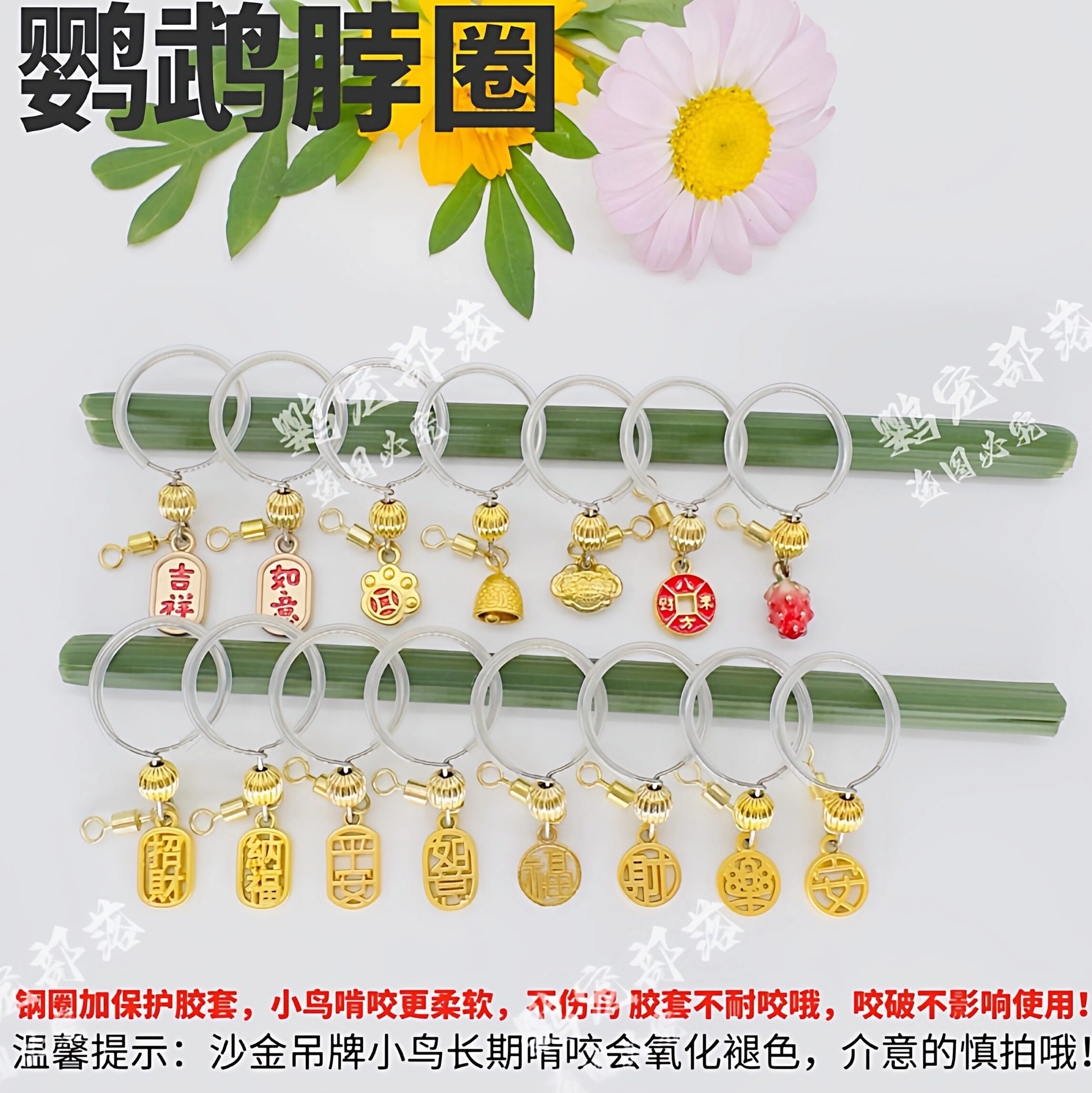 小太阳鹦鹉脖套玄凤脖圈放飞链子牡丹虎皮金太阳和尚鹦鹉放飞项链
