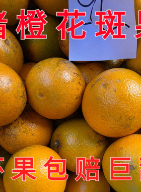 云南玉溪冰糖橙特甜新鲜褚橙
