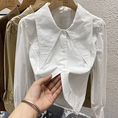 白色衬衫女长袖秋冬泡泡袖不规则