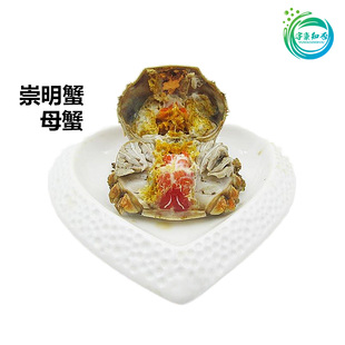 崇明清水蟹河蟹六月黄螃蟹鲜活小母蟹螃蟹足绒螯蟹大闸蟹 活蟹