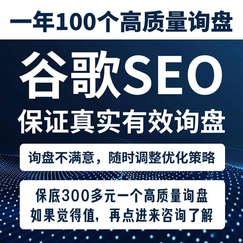 谷歌SEO代做包有询盘保证100多个真实有效高质量询盘获客