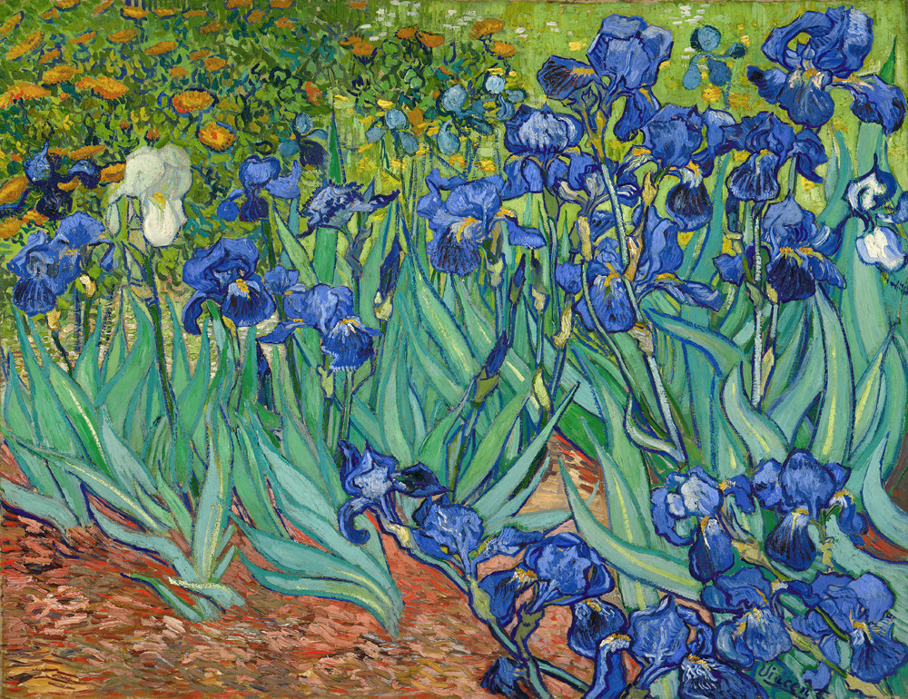 凡高油画vangogh梵高鸢尾花临摹名画保罗盖蒂博物馆手绘复制品