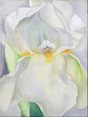 欧姬现代花卉装饰油画手绘