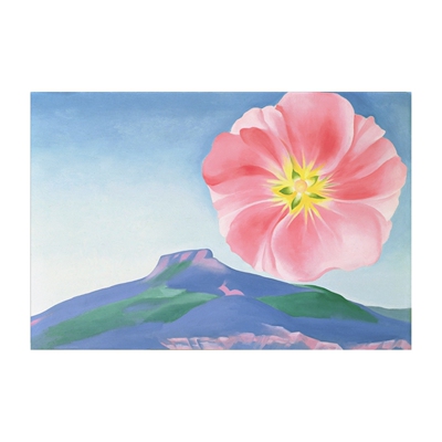 花卉装饰画欧姬芙手绘临摹沙发粉红色蜀葵花瓣Georgia O'Keeffe