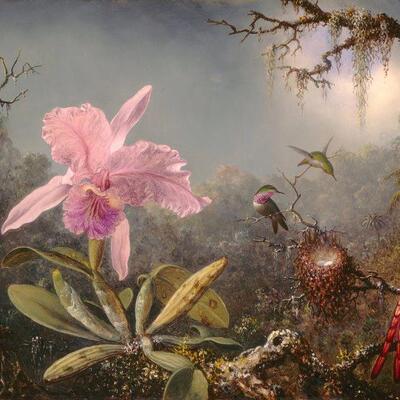 卧室客厅装饰画手绘花鸟油画海德johnson heade卡特兰和三只蜂鸟