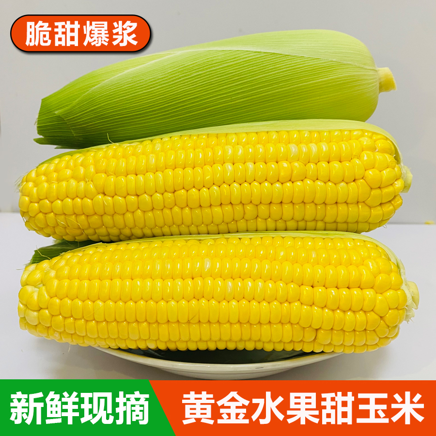 广西新鲜水果甜玉米3斤5斤9斤