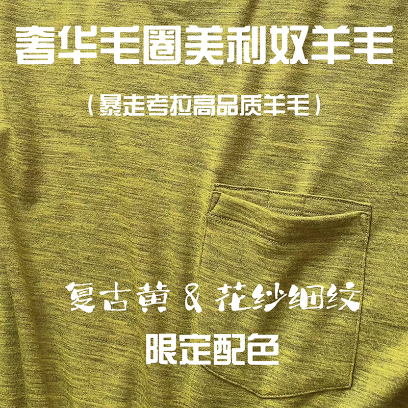 男女加厚重磅毛圈美利奴速干衣短袖美丽诺羊毛户外徒步爬山T恤新