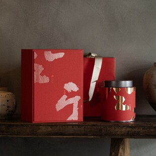 中档新中式茶叶罐包装礼盒风雅小双罐红茶岩茶通用三两装75g空盒