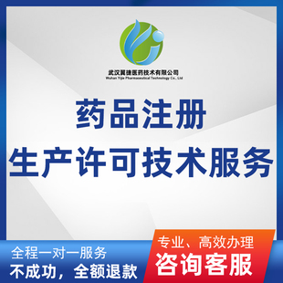 中药制剂备案技术服务