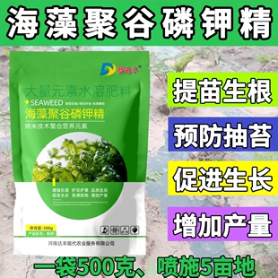 海藻聚谷磷钾精 高磷高钾 预防抽苔 膨大果实 缓解肥害 增千粒重