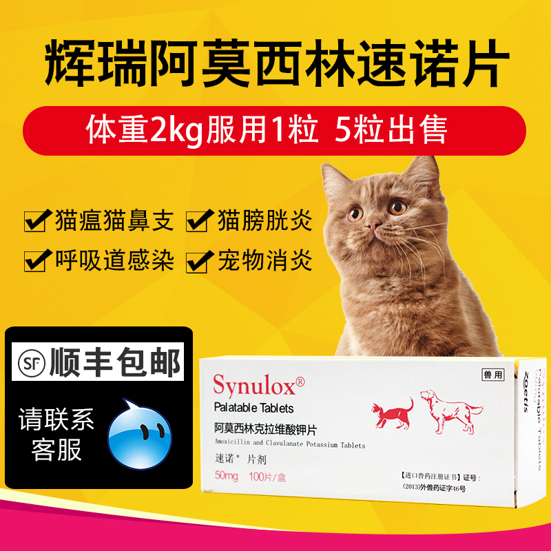 速诺50mg宠物猫咪猫鼻支速诺片狗狗感冒咳嗽呼吸道感染消炎药 5粒