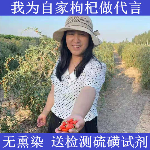 小枸杞干燥干净无熏硫无染色宁夏中宁农家出产枸杞苟杞包邮