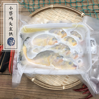 超低温冻东海海捕小网海鲜梅童鱼14条内很小250g