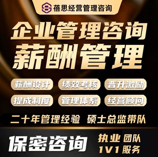 企业战略管理薪酬设计绩效考核全案激励提成制度财务分析落地咨询