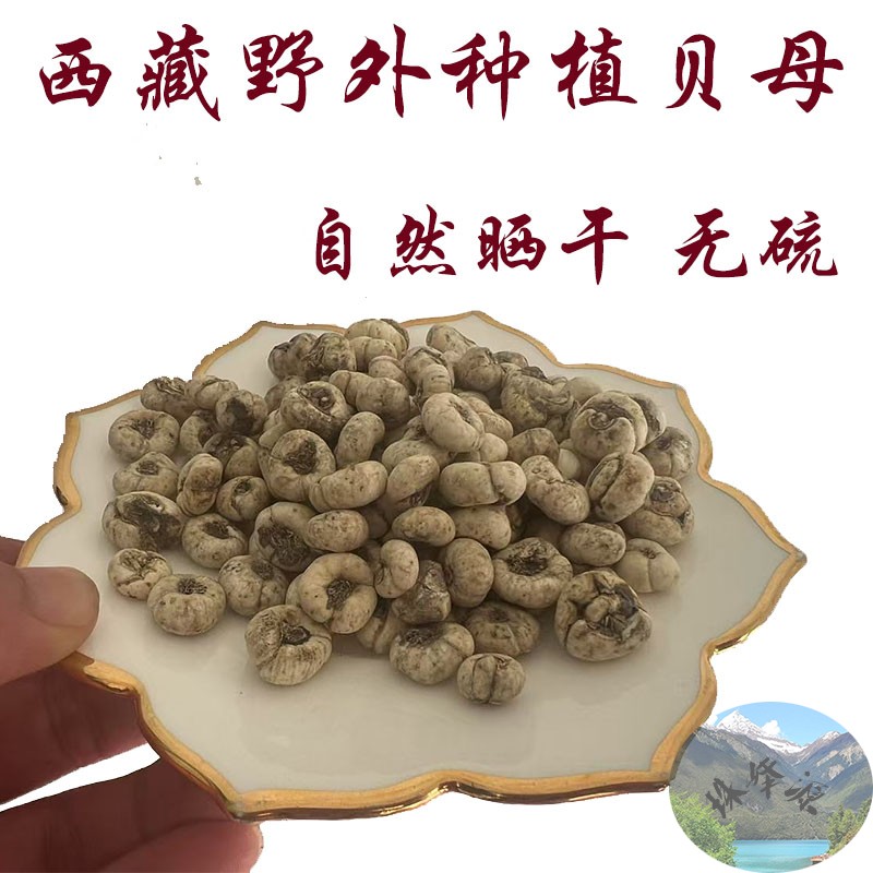 西藏直发 50g包邮 西藏林芝野外种植贝母 仿野生川贝母 藏贝母