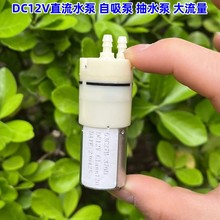 微型水泵 DC12V隔膜泵DSB412-H大流量饮水机自吸泵小型迷你抽水泵