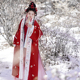 瞳莞直领对襟长褙子秋冬保暖汉服红梅煮雪飞机袖 百迭裙套装