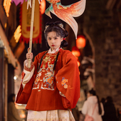 瞳莞明制方领对襟大袖 短袄汉服灵龙花影秋冬毛呢补服红色拜年服