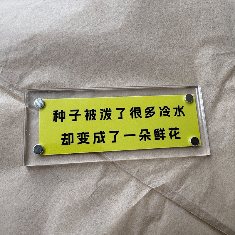 “种子被泼了很多冷水,却变成了一朵鲜花”励志正能量冰箱贴新款
