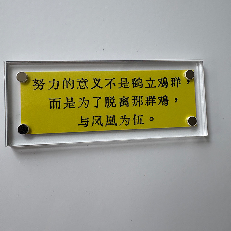“努力的意义不是鹤立鸡群”励志人生哲理正能量冰箱贴2026新款
