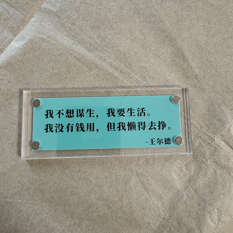 我不想谋生 我要生活 王尔德名言文学文字冰箱贴家居装饰品