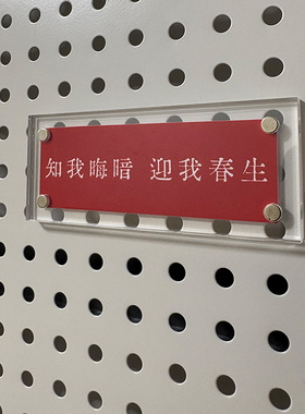 知我晦暗 迎我春生 治愈系文案 贴饰文化墙贴 冰箱贴 装饰
