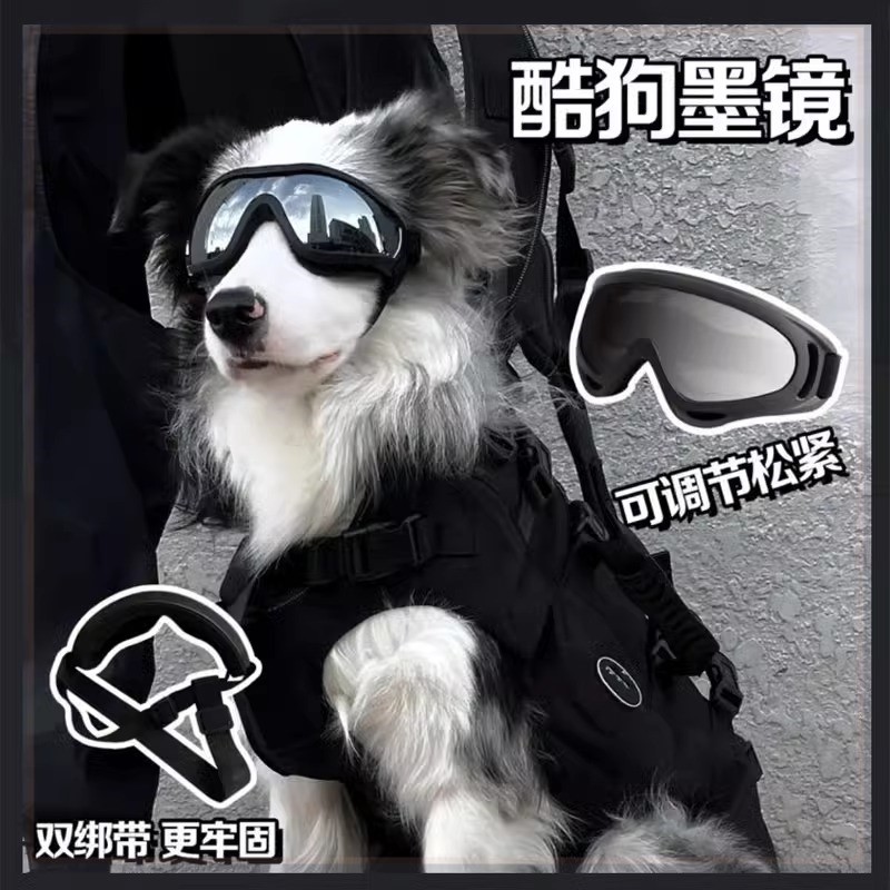 狗狗护目镜太阳眼镜防风防紫外线