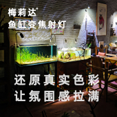 梅莉达12W自动定时调光低功耗高亮度鱼缸造景灯南美缸溪流缸射灯