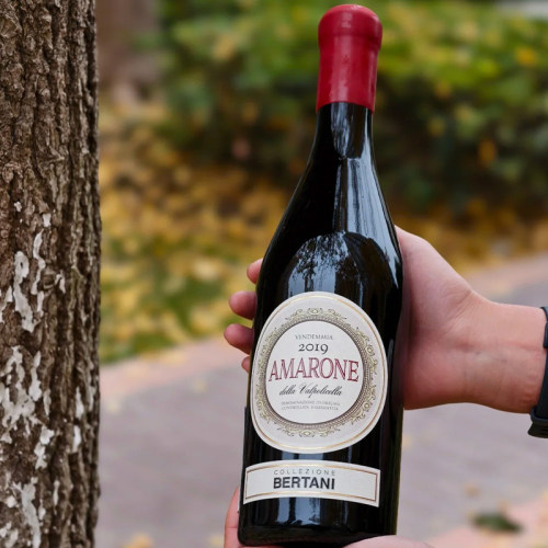 百大榜首酒庄意大利贝塔尼Bertani瓦波利切拉Amarone阿玛罗尼干红