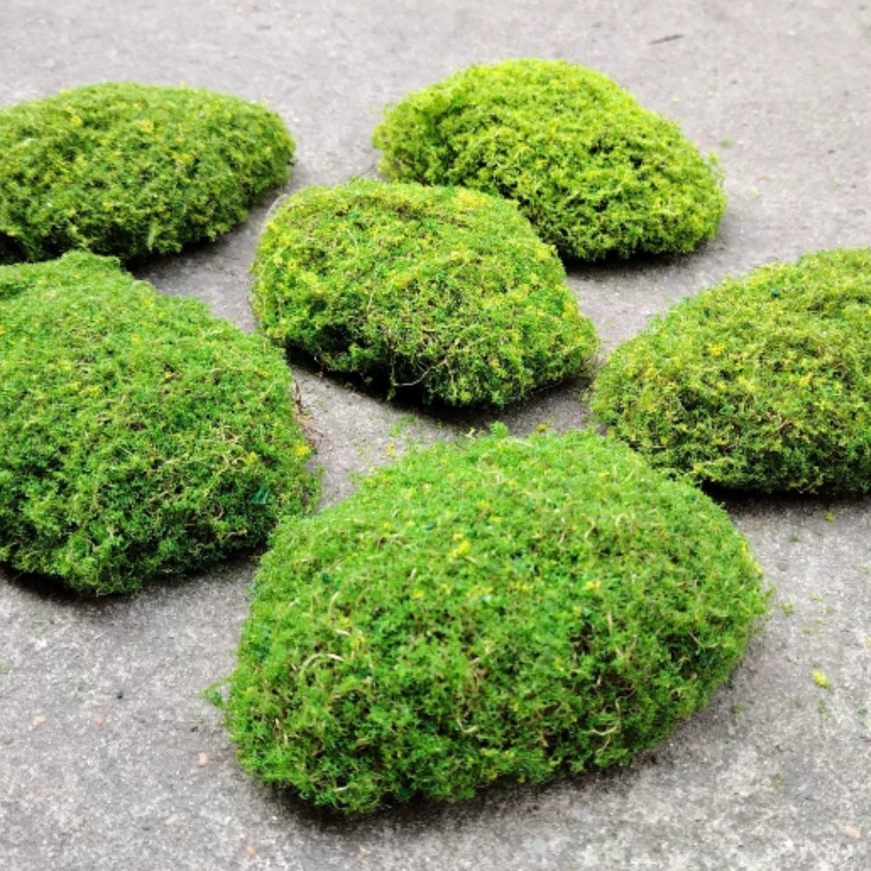 仿真植物草坪苔藓块景观草皮花盆铺面装饰植物墙仿生青苔diy造景