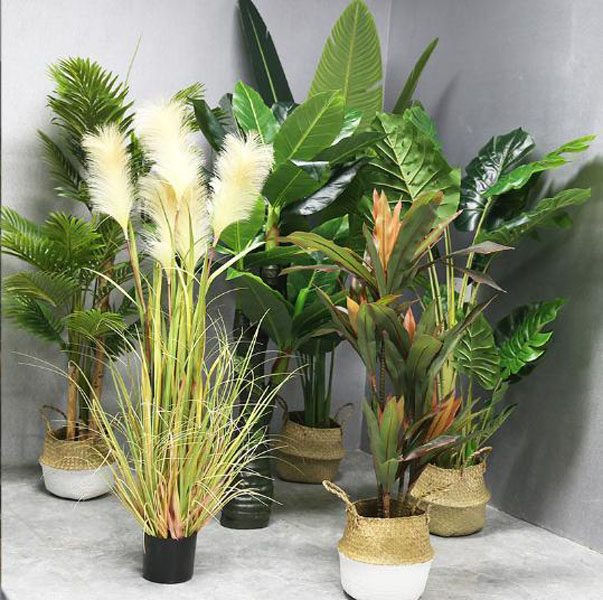 仿真树旅人蕉天堂鸟假绿植