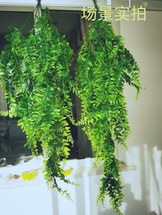 仿真波斯壁挂亚马逊波斯草藤条壁挂绿植花藤蕨类藤蔓悬挂植物塑料