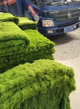 仿真草坪草皮diy微景观假苔藓假青苔绿植造景花盆铺面假草羊绒藓