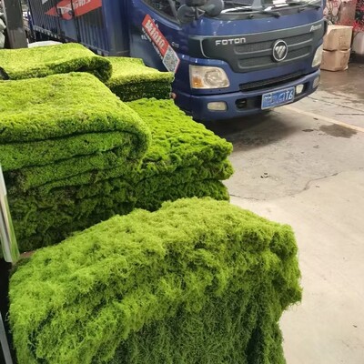 仿真草坪草皮diy微景观假苔藓假青苔绿植造景花盆铺面假草羊绒藓