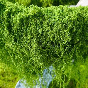 仿真dijy苔藓假青苔仿生草皮造景丝线人工植被假草皮草坪花盆铺面