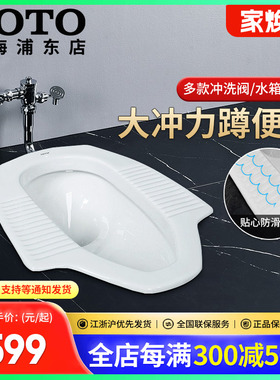 TOTO蹲便器CW8RB/DC603VLR家用蹲坑手动脚踏阀防臭蹲便池(13)