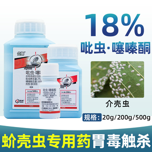 蚧壳虫专用药吡虫噻嗪酮多柑橘果树介壳虫蚧肉必治农药杀虫剂