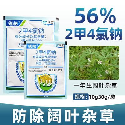 锐耙二甲四氯钠2甲4氯纳除草剂小麦田除阔叶一年生杂草农药除草剂