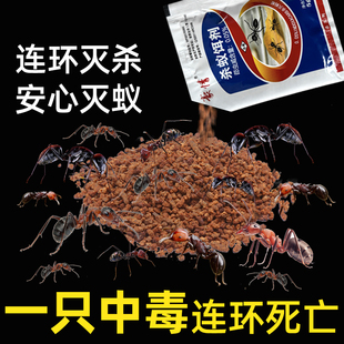 0.05%茚虫威杀蚁饵剂厨房室内家用室外红火蚁专杀药剂蚂蚁杀虫剂
