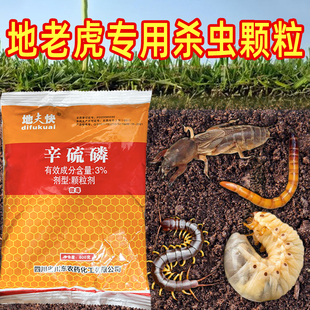 地老虎专用杀虫辛硫磷颗粒施撒型地下害虫蝼蛄金针虫土壤杀虫剂