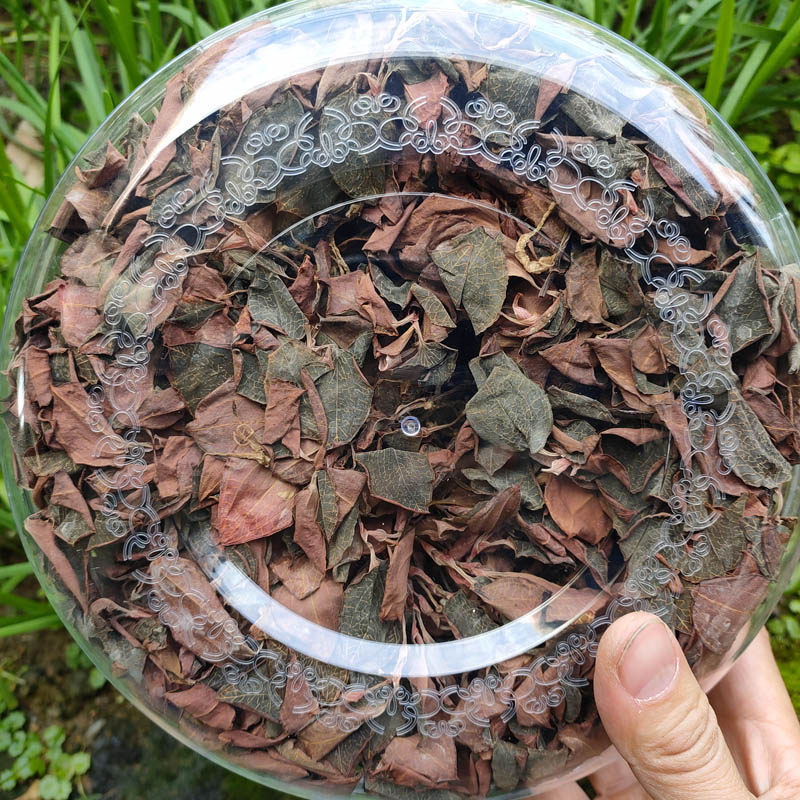 金线莲礼盒装 林下仿野金线莲种植半年整株干品5-6个月50克炖泡