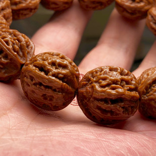 门头沟京八棱蚂蚁纹梅枝纹盘龙纹精品老树野生文玩小核桃手串手持