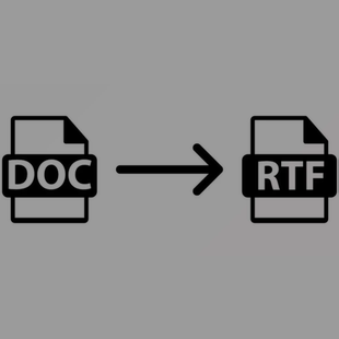 RTF 永久 SubSystems for .Net v12.0 DOC Converter