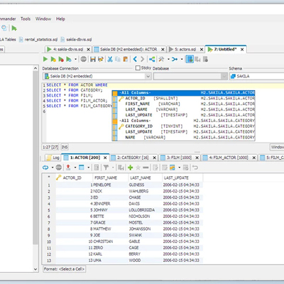 DbVisualizer Pro v24.3