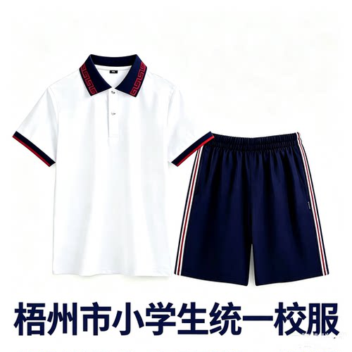 梧州市小学生统一版男女新款夏季运动校服短袖短裤白T恤学校同款