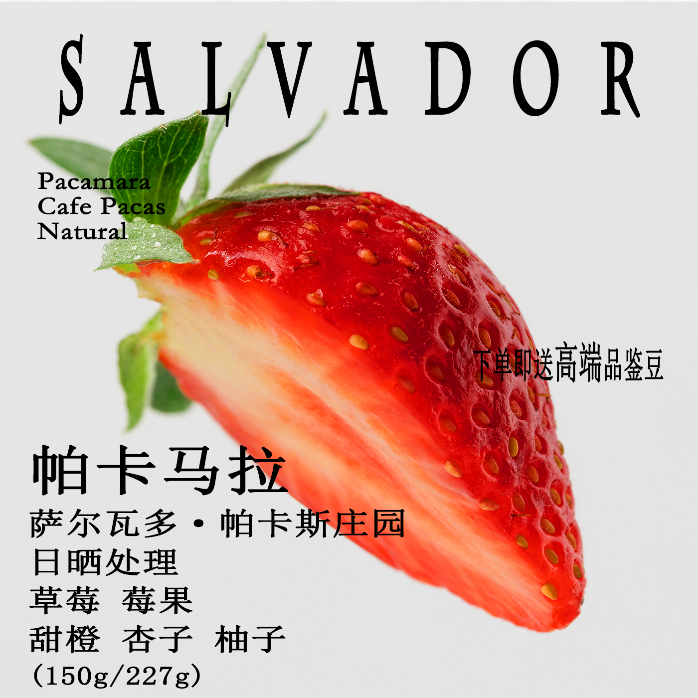 帕卡马拉Pacamara手冲咖啡豆