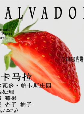 萨尔瓦多帕卡斯庄园Pacas 帕卡马拉Pacamara日晒手冲单品咖啡豆