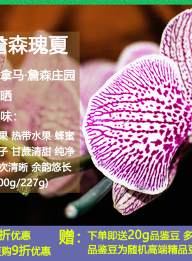 乔の巴咖啡巴拿马詹森庄园日晒Janson瑰夏手冲精品咖啡豆现烘